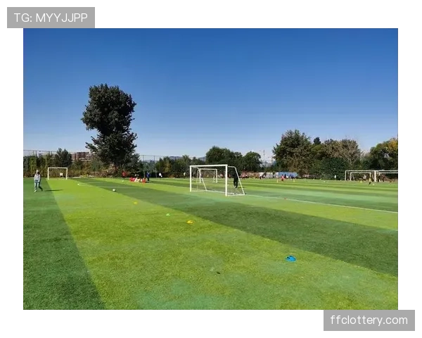 腰旗橄榄球因安全性与趣味性成为学校体育与社区活动热门选择